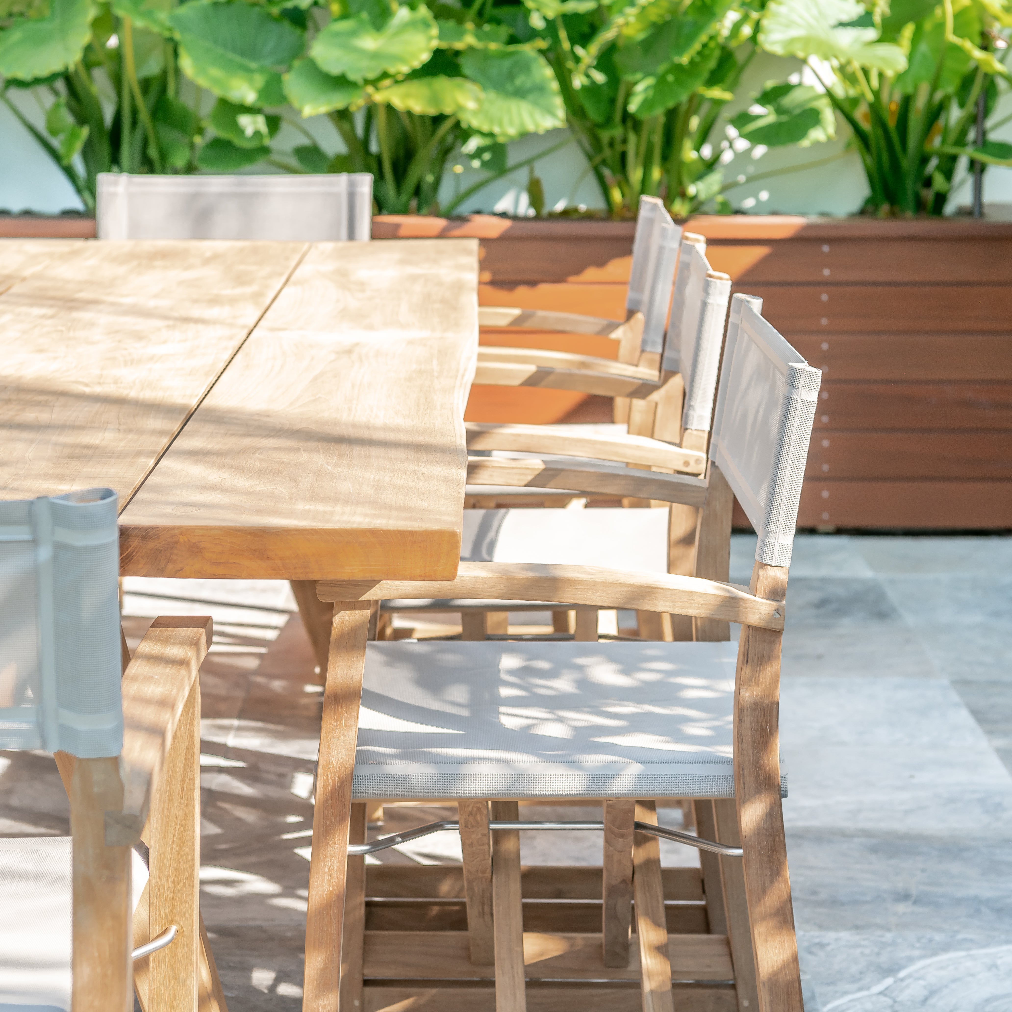 Classic teak