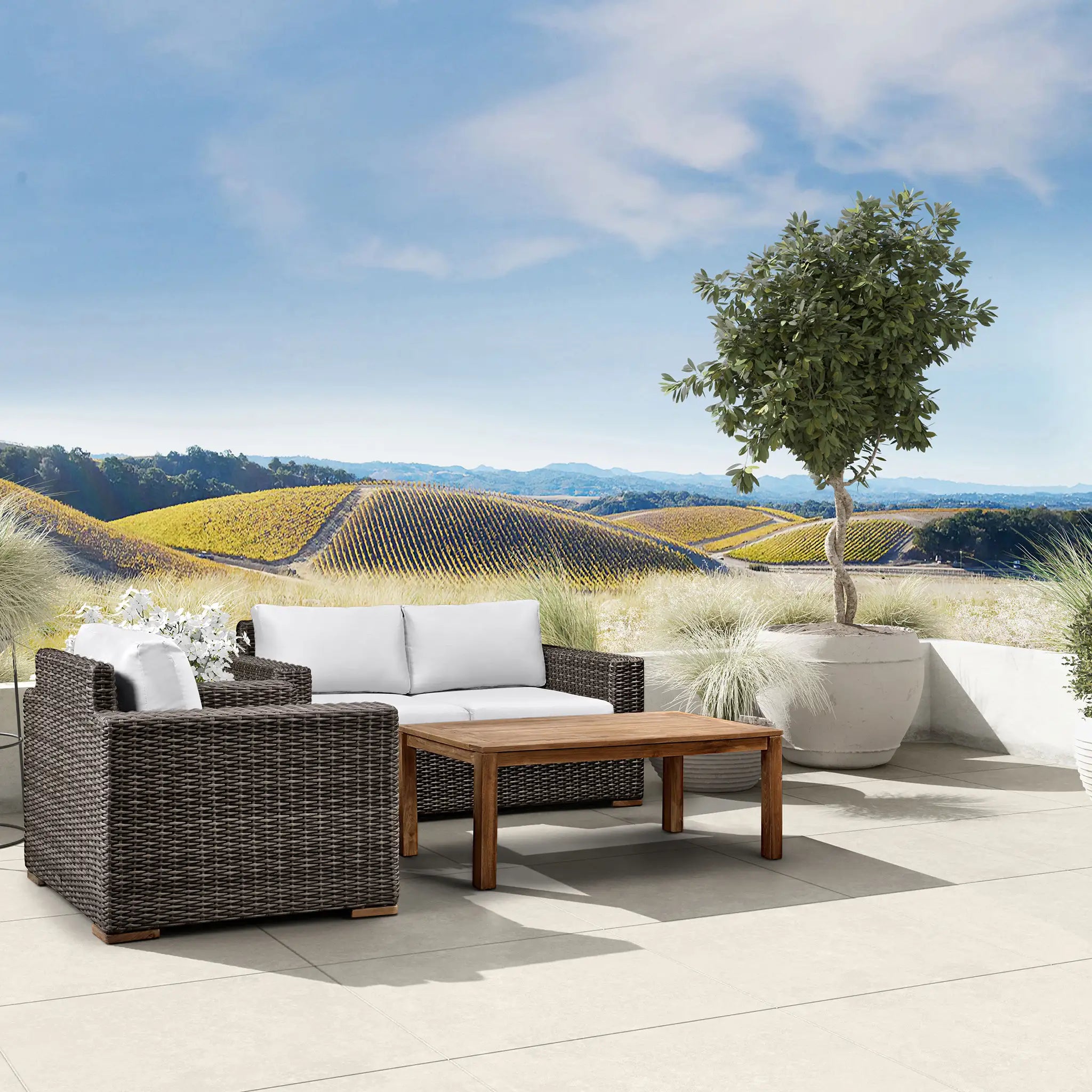 #Fabric_Canvas Natural