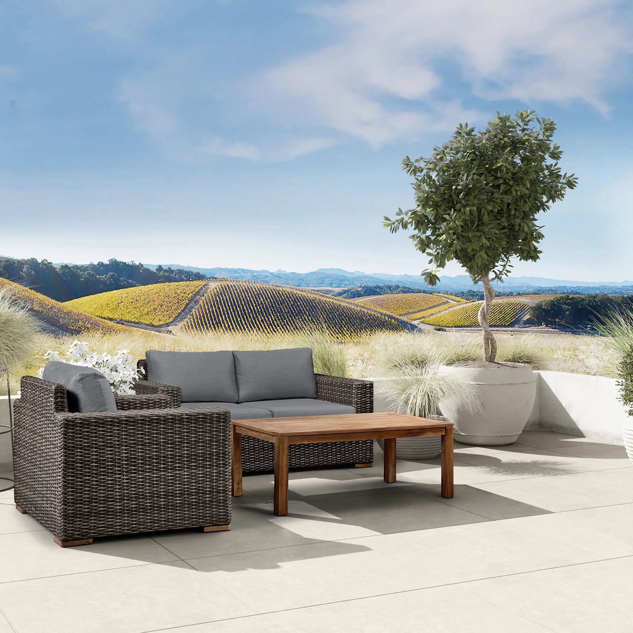 #Fabric_Canvas Charcoal